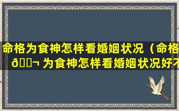 命格为食神怎样看婚姻状况（命格 🐬 为食神怎样看婚姻状况好不好）